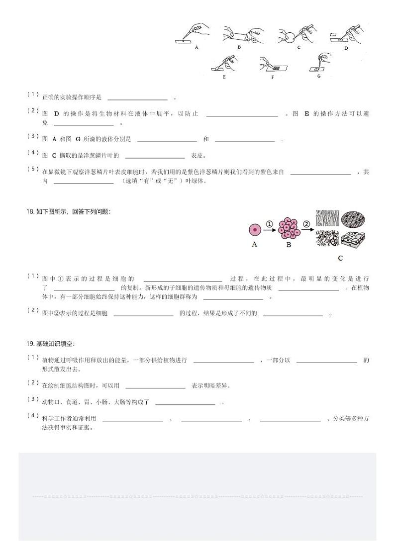 2024~2025学年河南郑州初一(上)期中生物试卷(含解析)第3页