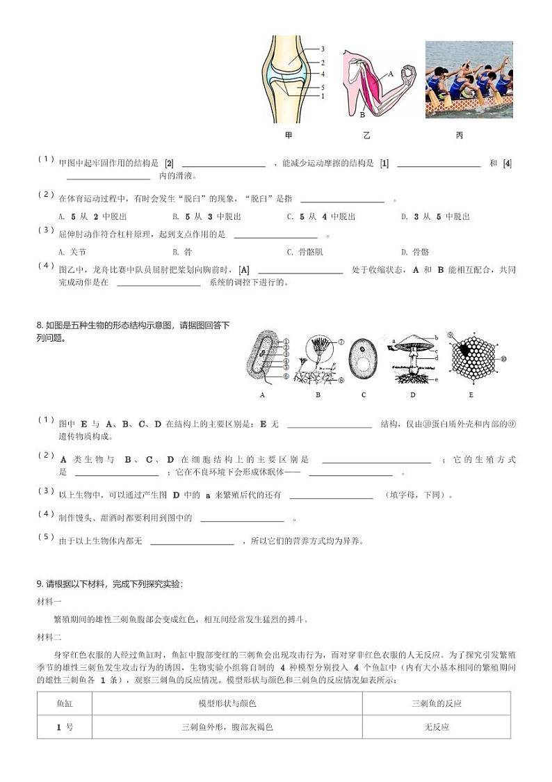 2024~2025学年湖北荆州初二(上)期中生物试卷(含解析)第3页
