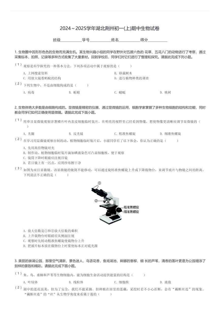 2024～2025学年湖北荆州初一(上)期中生物试卷(含解析)