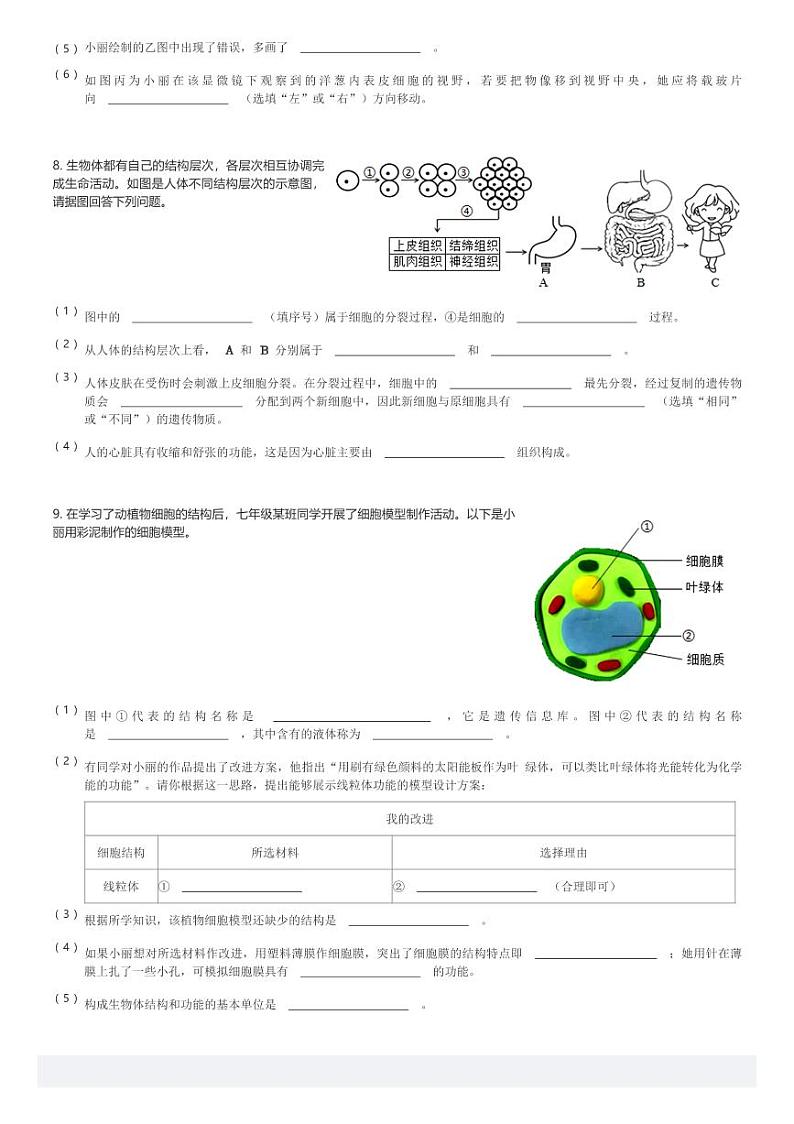 2024~2025学年湖北荆州初一(上)期中生物试卷(含解析)第3页