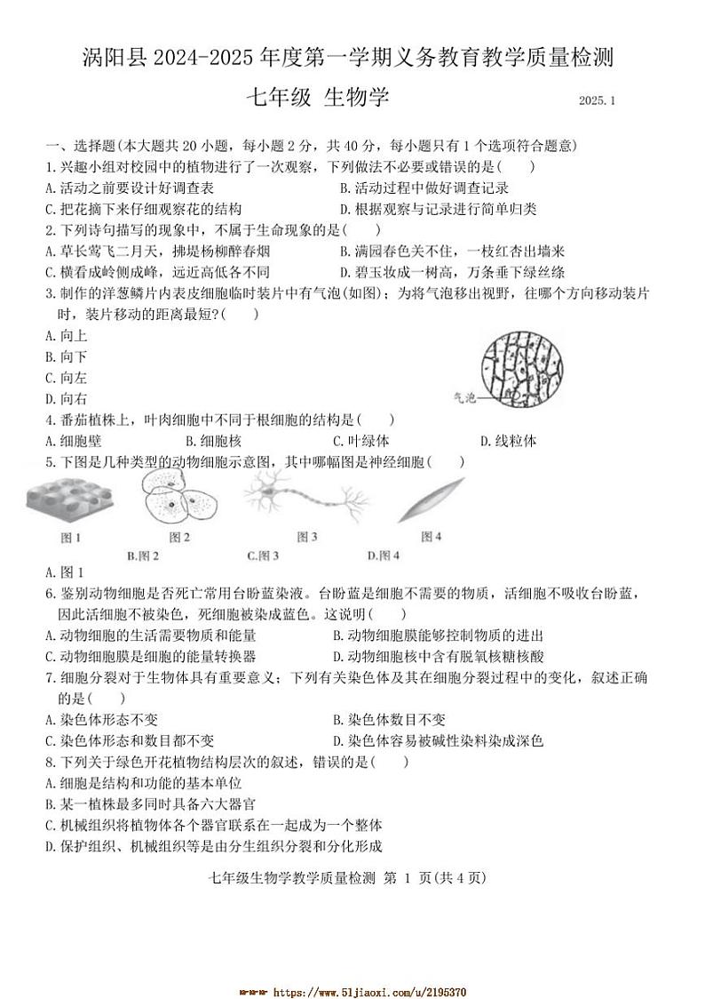 2024~2025学年安徽省亳州市涡阳县七年级上期末教学月考生物试卷(含答案)第1页