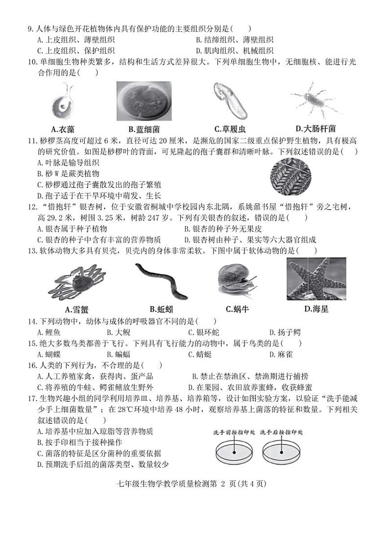 2024~2025学年安徽省亳州市涡阳县七年级上期末教学月考生物试卷(含答案)第2页