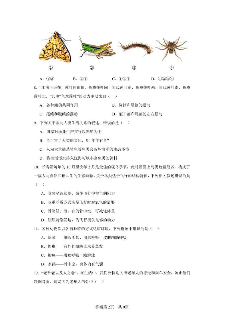 2024~2025学年贵州省毕节市金沙县中小学八年级上教学月考生物试卷(含答案)第2页