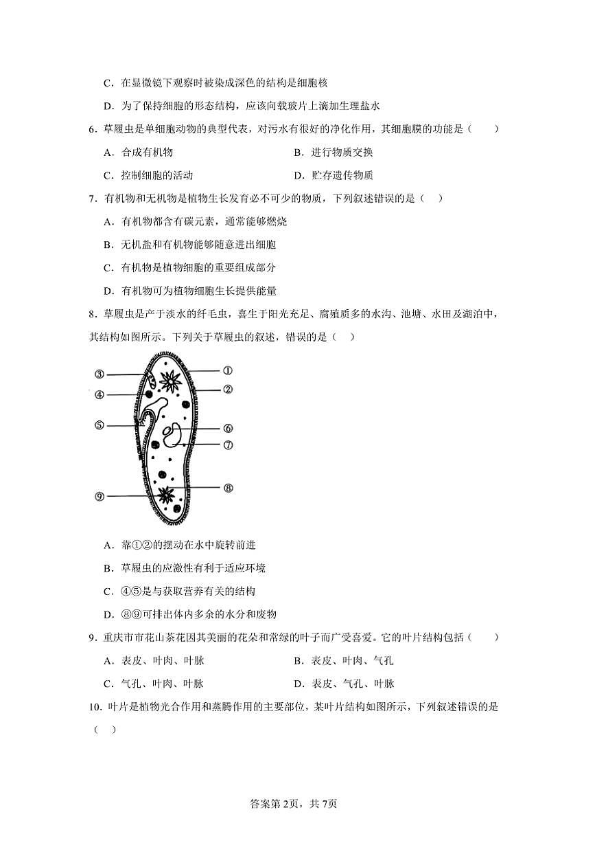 2024～2025學年貴州省畢節(jié)市金沙縣中小學七年級上教學月考生物試卷(含答案)第2頁