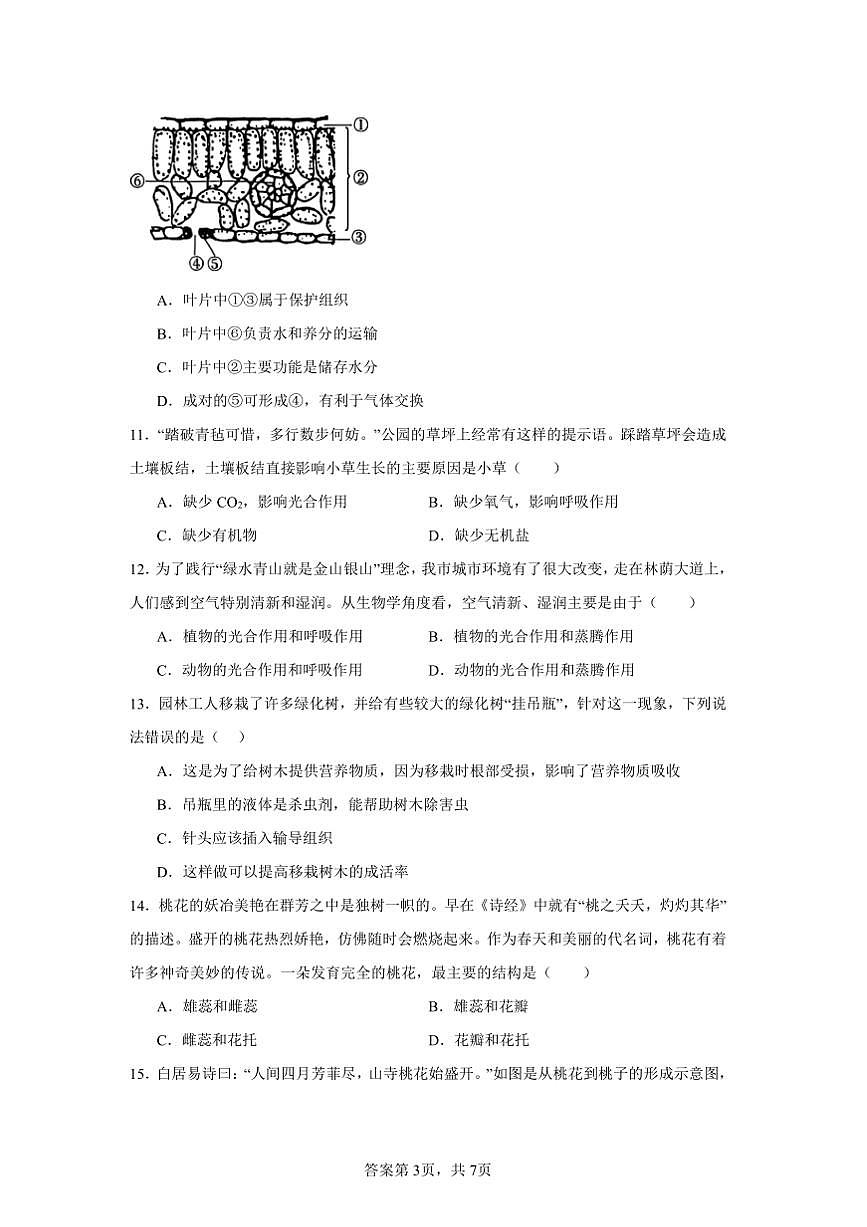 2024～2025學年貴州省畢節(jié)市金沙縣中小學七年級上教學月考生物試卷(含答案)第3頁