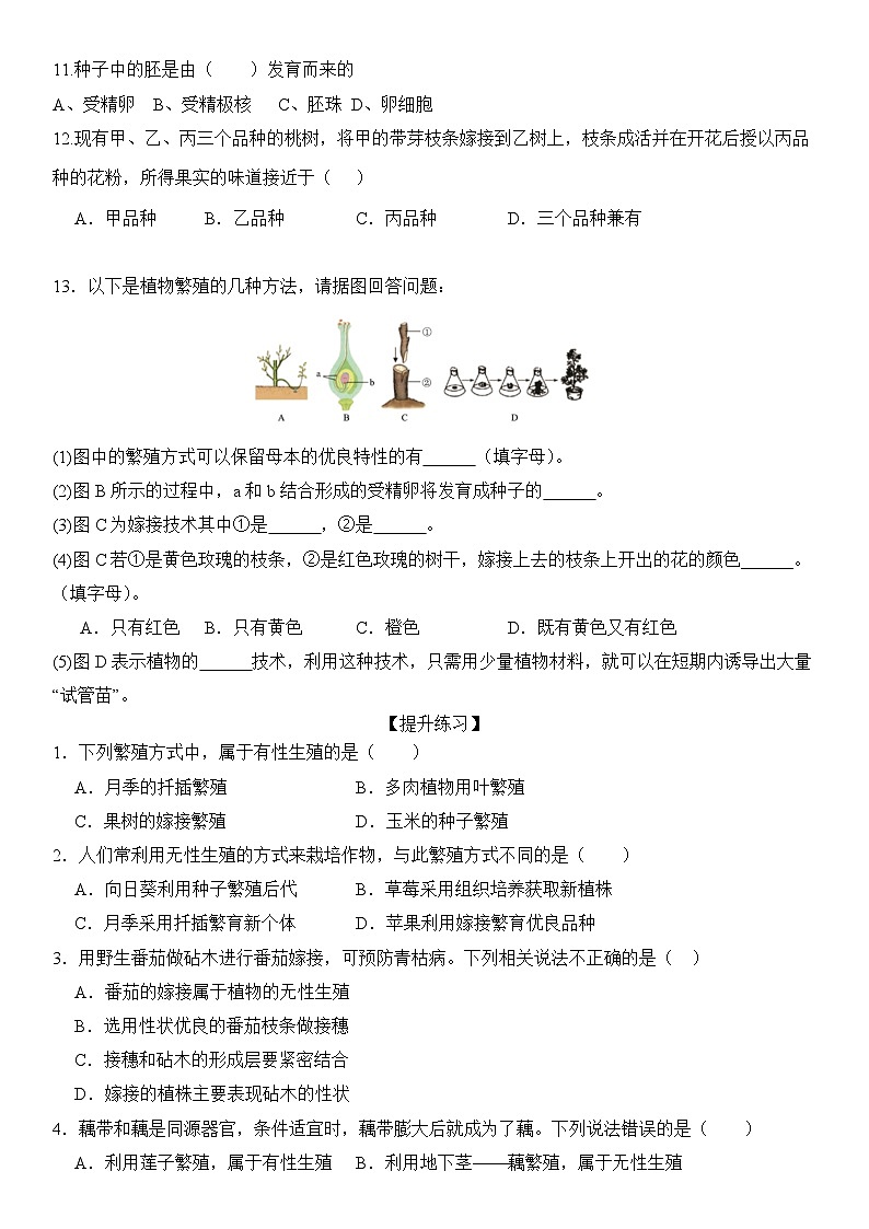 人教版初中生物八下 第一章生物的生殖和发育 1.1《植物的生殖》分层练习(原卷版)第2页