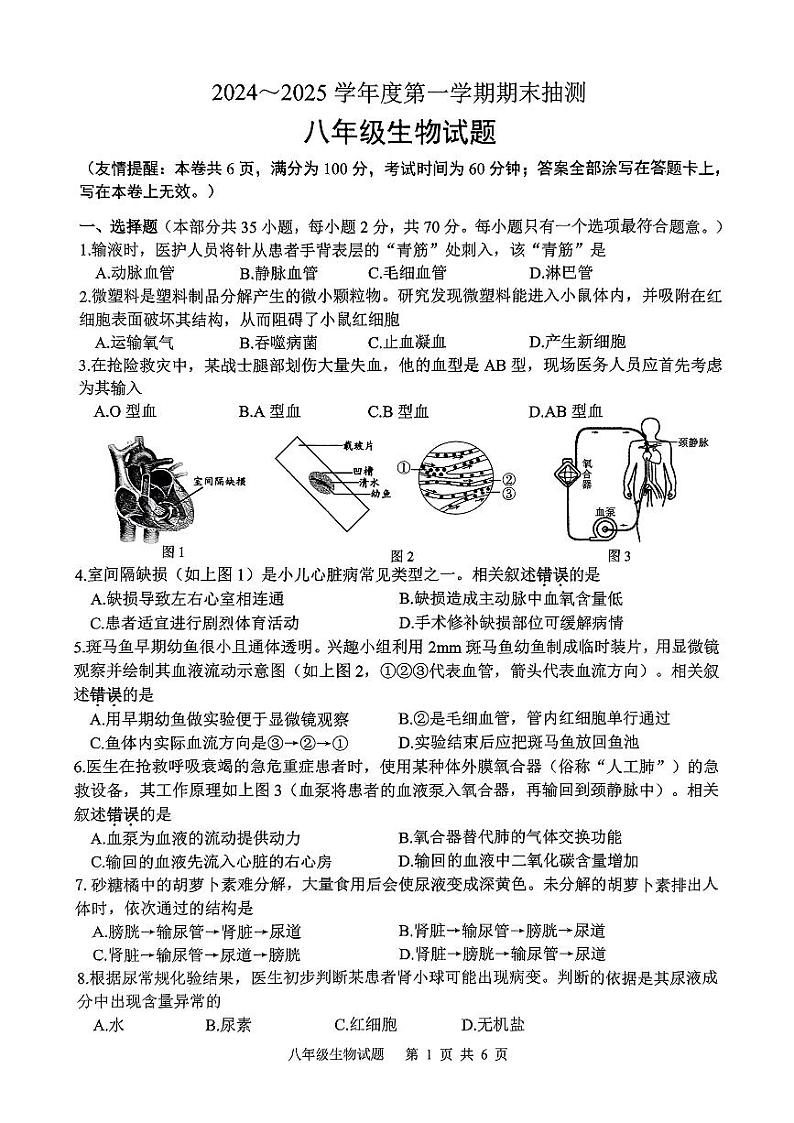 徐州2024-2025上学期期期末八年级生物第1页