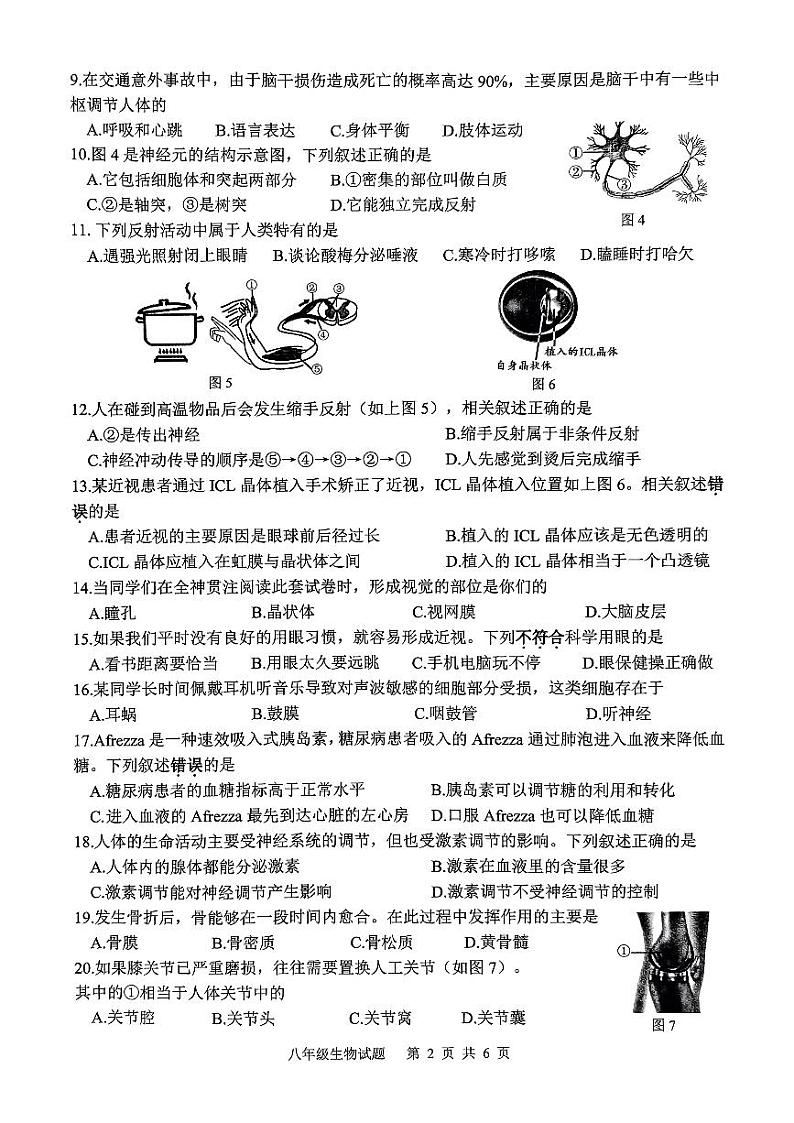徐州2024-2025上学期期期末八年级生物第2页