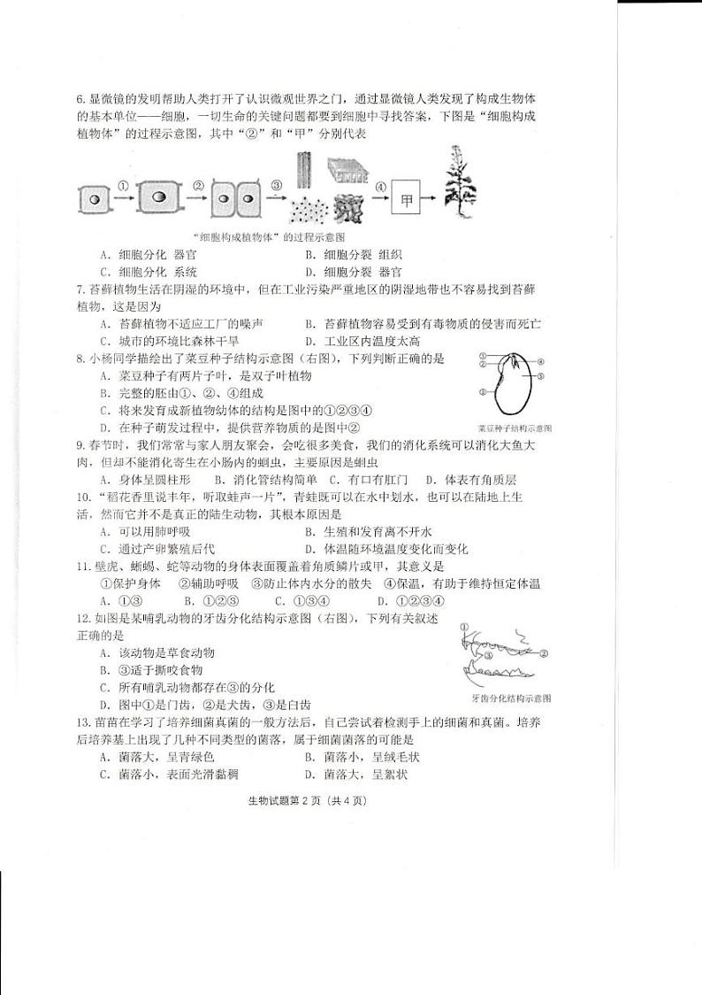 贵州省贵阳市白云区2024-2025学年七年级上学期期末考试生物试卷第2页