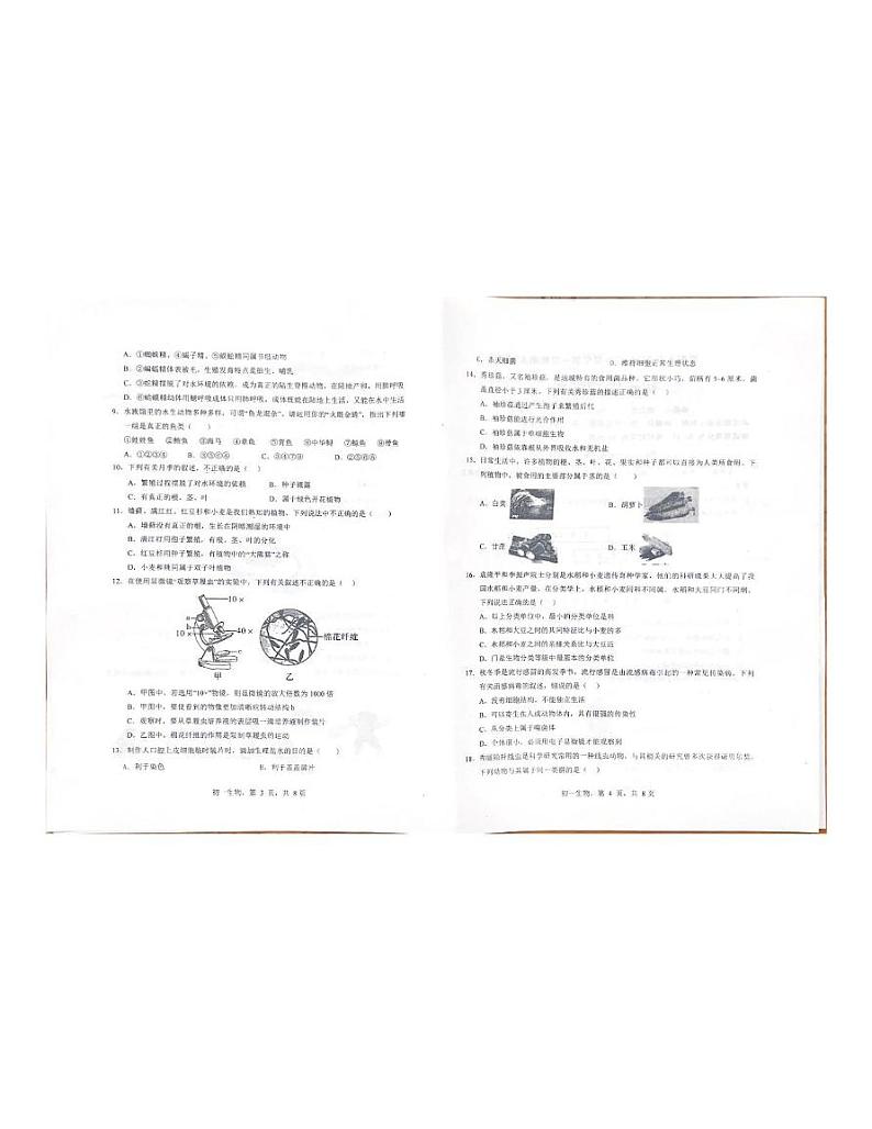 河北省邯郸市第十中学2024-2025学年七年级上学期期末考试生物试题第2页