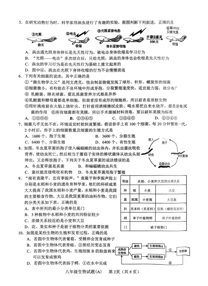 山东省临沂市临沭县2024-2025学年八年级上学期期末阶段检测生物试题第2页