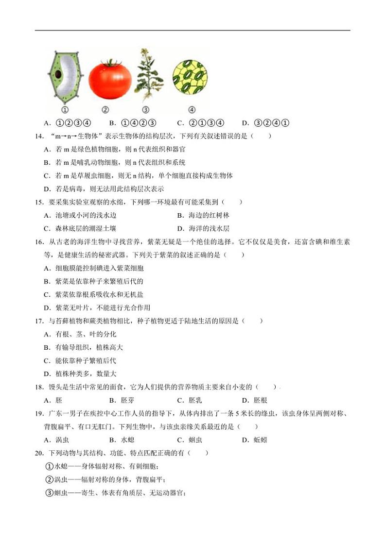 2024~2025学年四川省绵阳市梓潼县七年级上1月期末考试生物试卷(含答案)第3页