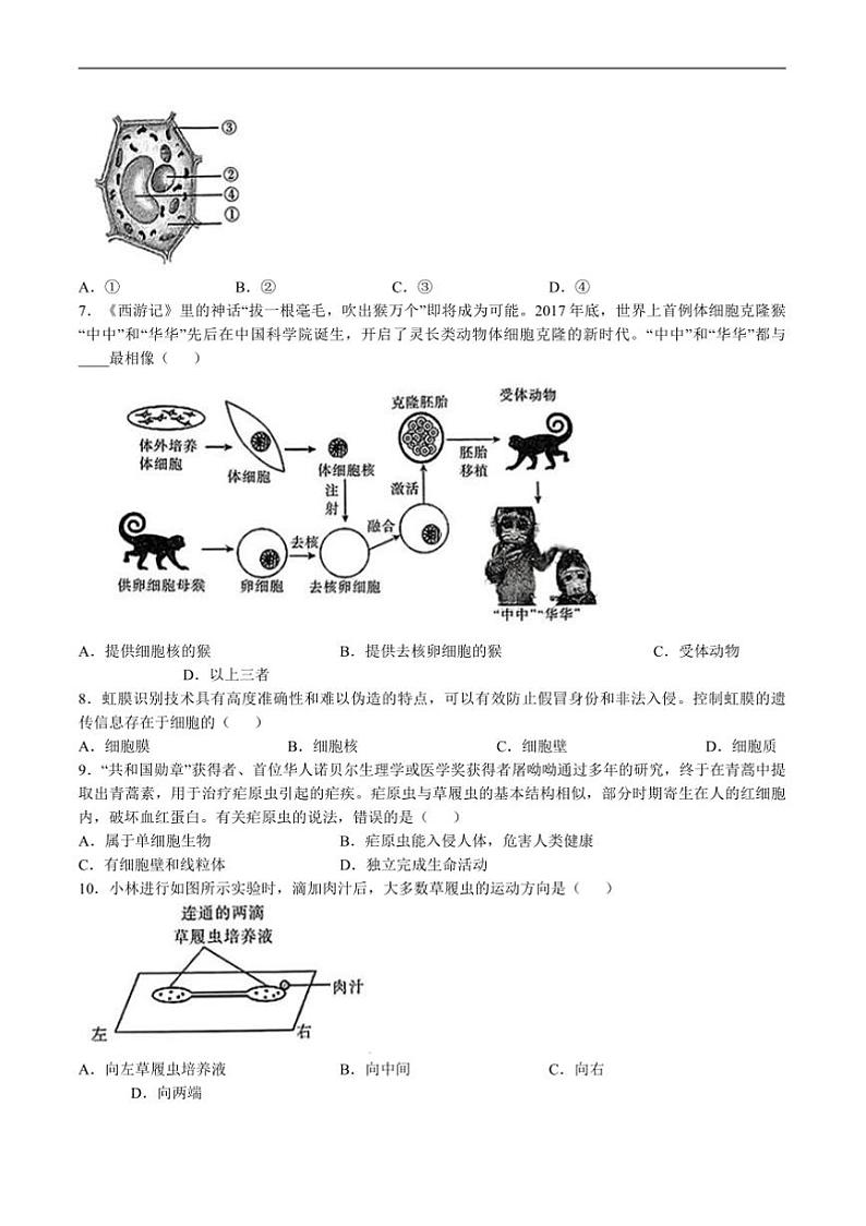 2024~2025学年河南省濮阳市七年级上1月期末考试生物试卷(含答案)第2页