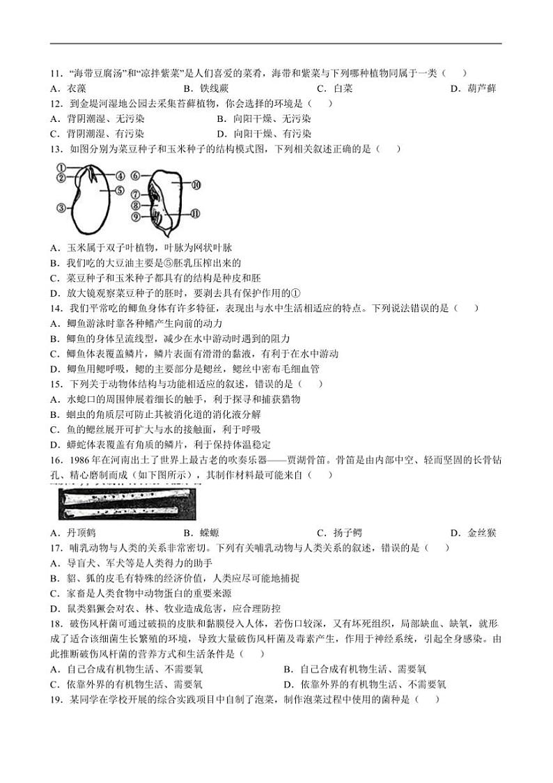 2024~2025学年河南省濮阳市七年级上1月期末考试生物试卷(含答案)第3页