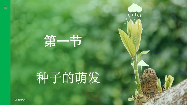 3.1.1 种子的萌发 (课件)-2024--2025学年人教版生物七年级下册第1页