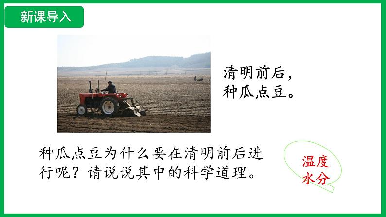 3.1.1 种子的萌发 (课件)-2024--2025学年人教版生物七年级下册第4页