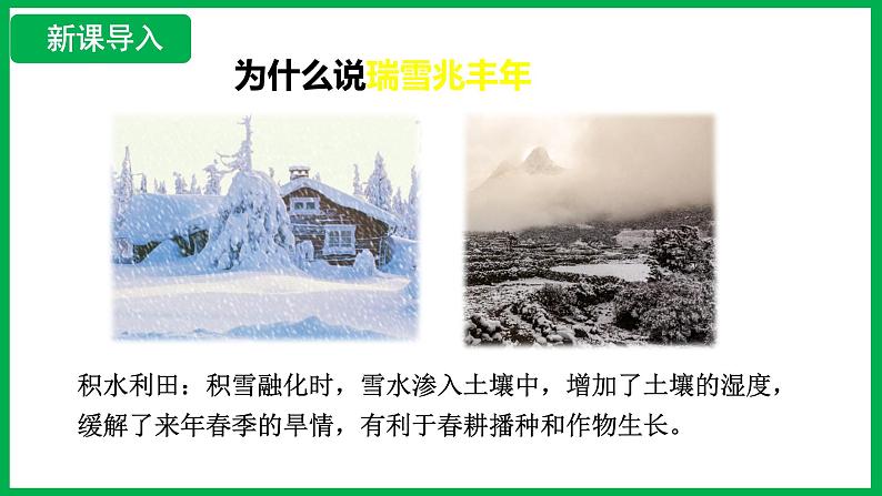 3.1.1 种子的萌发 (课件)-2024--2025学年人教版生物七年级下册第5页