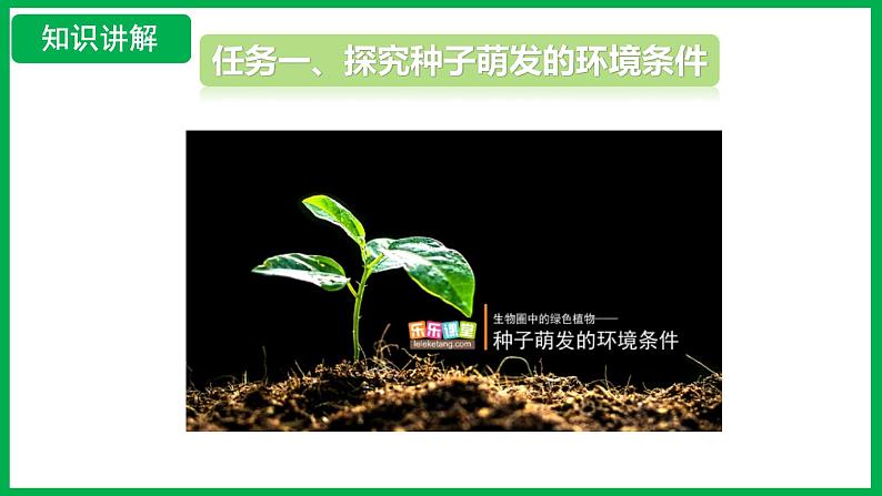 3.1.1 种子的萌发 (课件)-2024--2025学年人教版生物七年级下册第6页