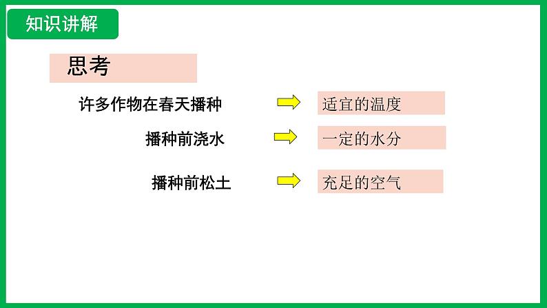 3.1.1 种子的萌发 (课件)-2024--2025学年人教版生物七年级下册第7页