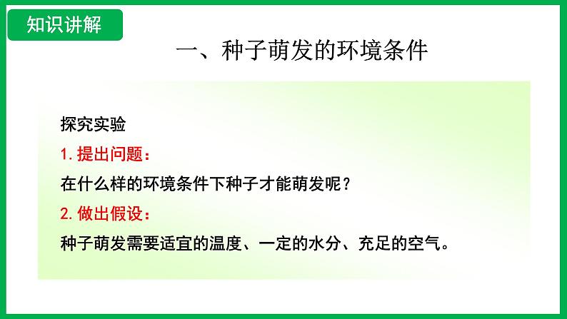 3.1.1 种子的萌发 (课件)-2024--2025学年人教版生物七年级下册第8页