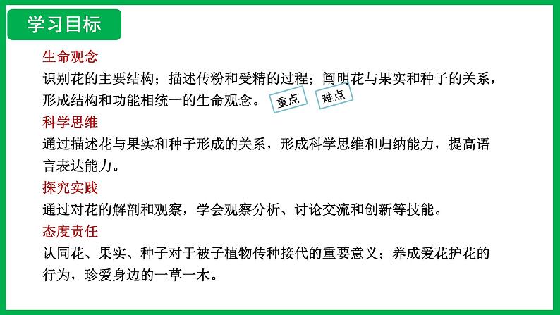 3.1.3 开花和结果 (课件)-2024--2025学年人教版生物七年级下册第2页