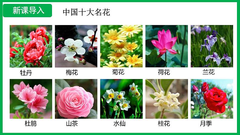 3.1.3 开花和结果 (课件)-2024--2025学年人教版生物七年级下册第3页