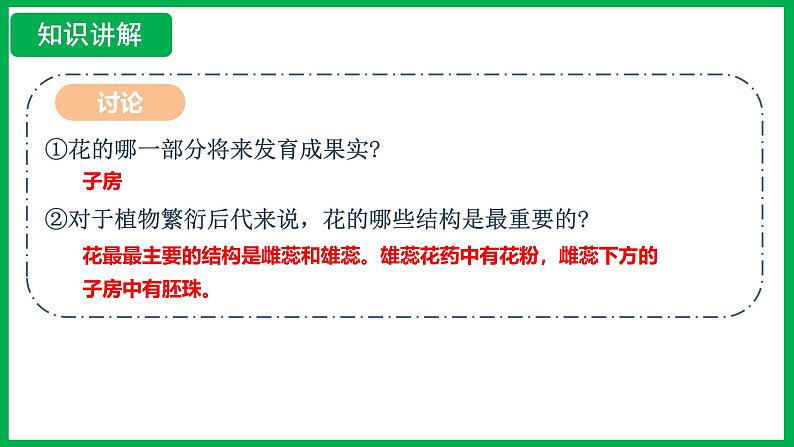 3.1.3 开花和结果 (课件)-2024--2025学年人教版生物七年级下册第8页