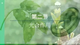 3.2.2 光合作用 （课件）-2024--2025学年人教版生物七年级下册