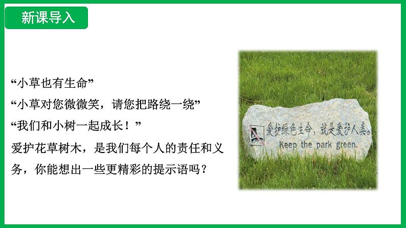 3.2.4 植物在自然界中的作用 (课件)-2024--2025学年人教版生物七年级下册第3页