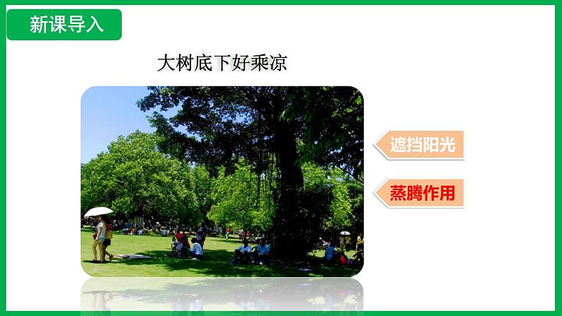 3.2.4 植物在自然界中的作用 (课件)-2024--2025学年人教版生物七年级下册第4页