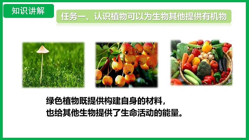 3.2.4 植物在自然界中的作用 (课件)-2024--2025学年人教版生物七年级下册第6页