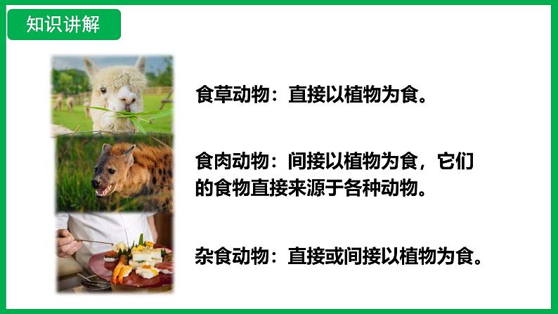 3.2.4 植物在自然界中的作用 (课件)-2024--2025学年人教版生物七年级下册第7页