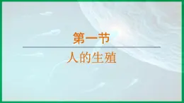 4.1.1 人的生殖 （课件）-2024--2025学年人教版生物七年级下册