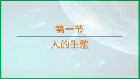 七年级下册（2024）第一节 人的生殖多媒体教学ppt课件