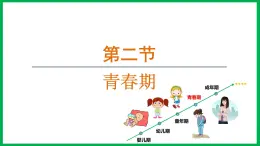 4.1.2 青春期 （课件）-2024--2025学年人教版生物七年级下册