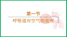 4.3.1 呼吸道对空气的处理 （课件）-2024--2025学年人教版生物七年级下册