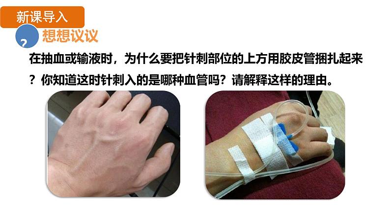 4.4.2 血流的管道——血管 (课件)-2024--2025学年人教版生物七年级下册第3页