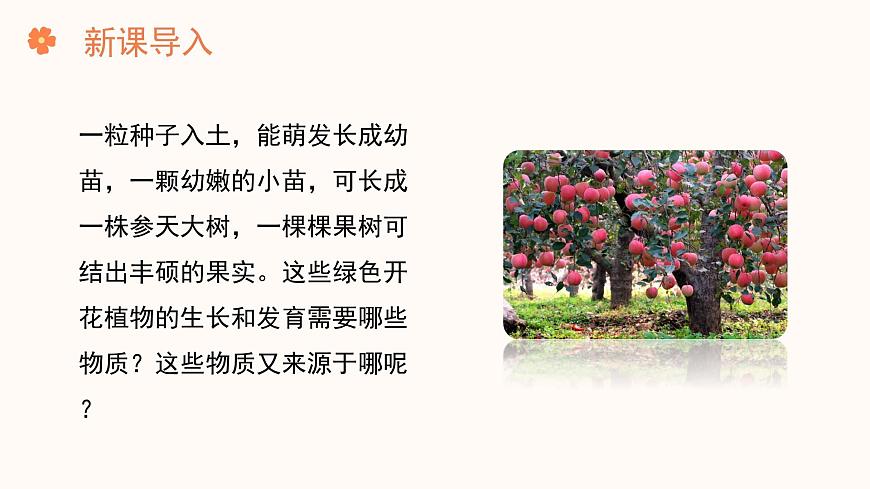 【核心素養(yǎng)目標(biāo)】濟(jì)南版初中生物七年級下冊3.1.3《植物通過光合作用固定光能》課件第2頁