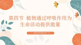 【核心素养目标】济南版初中生物七年级下册3.1.4《植物通过呼吸作用为生命活动提供能量》课件