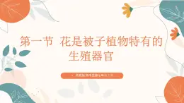 【核心素养目标】济南版初中生物七年级下册3.2.1《花是被子植物特有的生殖器官》课件