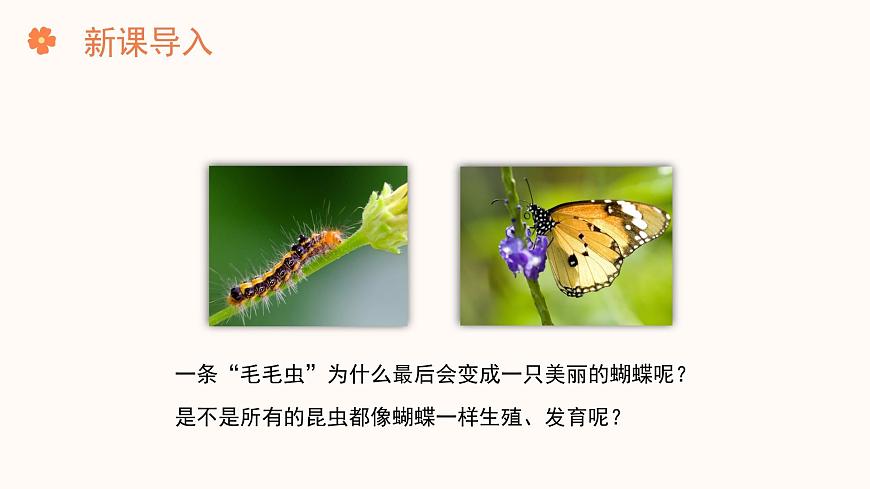 【核心素養(yǎng)目標(biāo)】濟(jì)南版初中生物七年級(jí)下冊(cè)4.1.2《有性生殖增加了后代的多樣性》課件第2頁(yè)