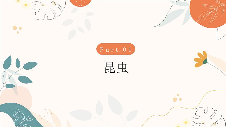 【核心素養(yǎng)目標(biāo)】濟(jì)南版初中生物七年級(jí)下冊(cè)4.1.2《有性生殖增加了后代的多樣性》課件第5頁(yè)