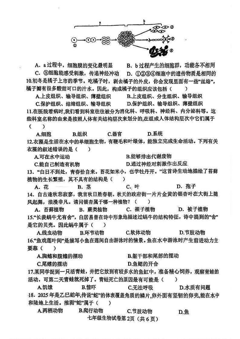 河北省邯郸市魏县2024-2025学年七年级上学期1月期末生物试卷第2页