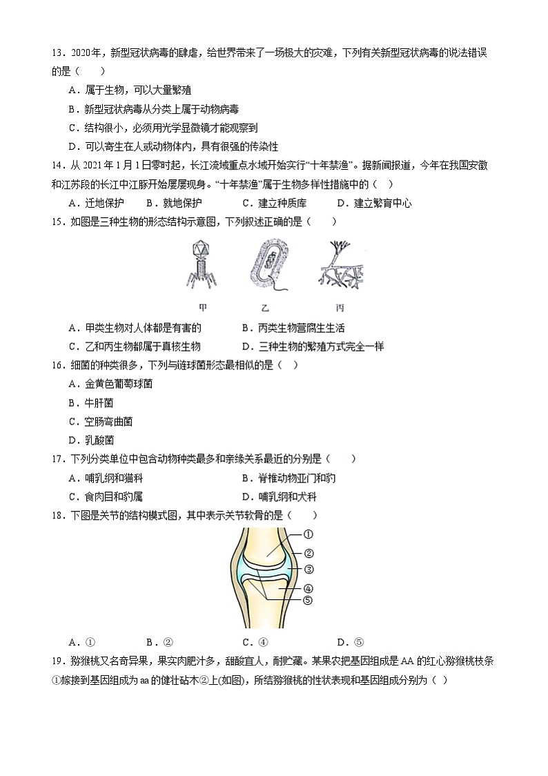 八年级生物开学摸底考02(人教版)-2024-2025学年初中下学期开学摸底考试卷02(人教版2024)(考试版)第3页