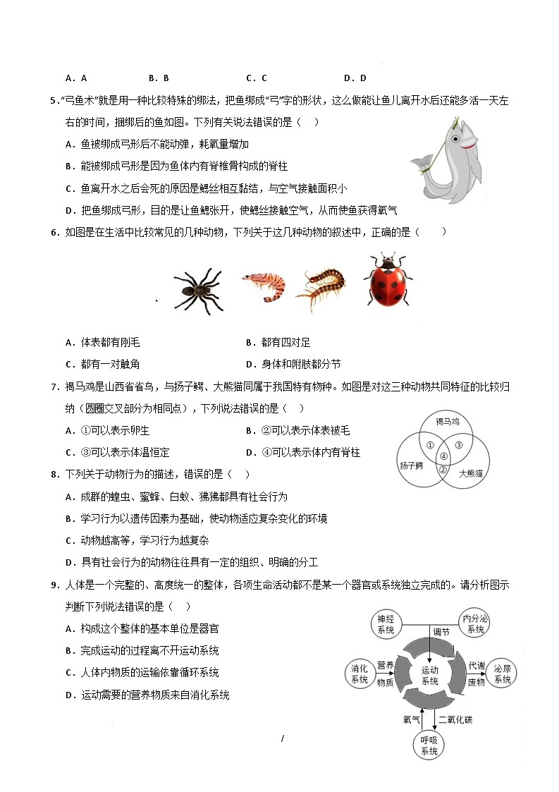 八年级生物开学摸底考(四川成都专用)(考试版)第2页