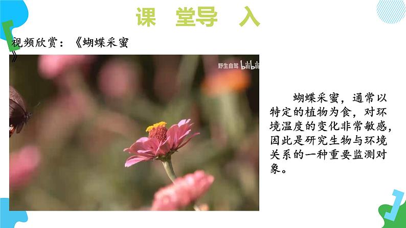 【核心素养】苏教版生物七年级下册 3.7.1 生态系统的构成(教学课件)(第1课时)第5页