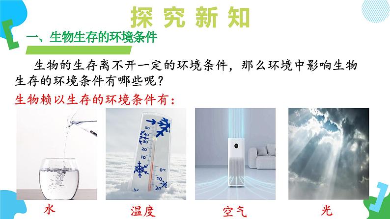 【核心素养】苏教版生物七年级下册 3.7.1 生态系统的构成(教学课件)(第1课时)第6页