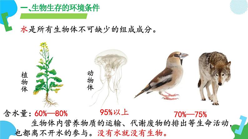 【核心素养】苏教版生物七年级下册 3.7.1 生态系统的构成(教学课件)(第1课时)第7页