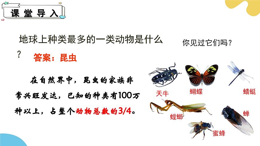 【核心素養(yǎng)】蘇科版生物七年級(jí)下冊(cè) 8.1 無脊椎動(dòng)物（第2課時(shí)） 同步課件第4頁