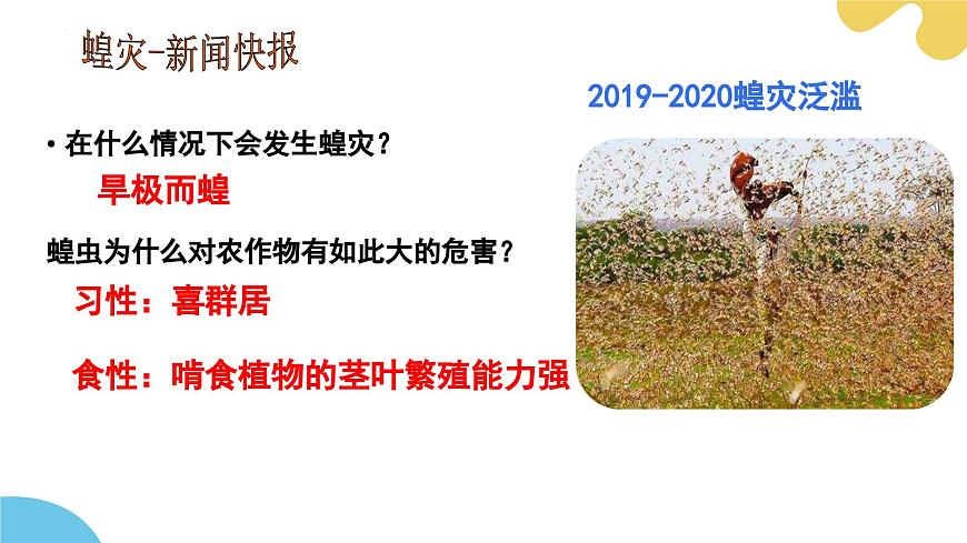 【核心素養(yǎng)】蘇科版生物七年級(jí)下冊(cè) 8.1 無脊椎動(dòng)物（第2課時(shí)） 同步課件第5頁